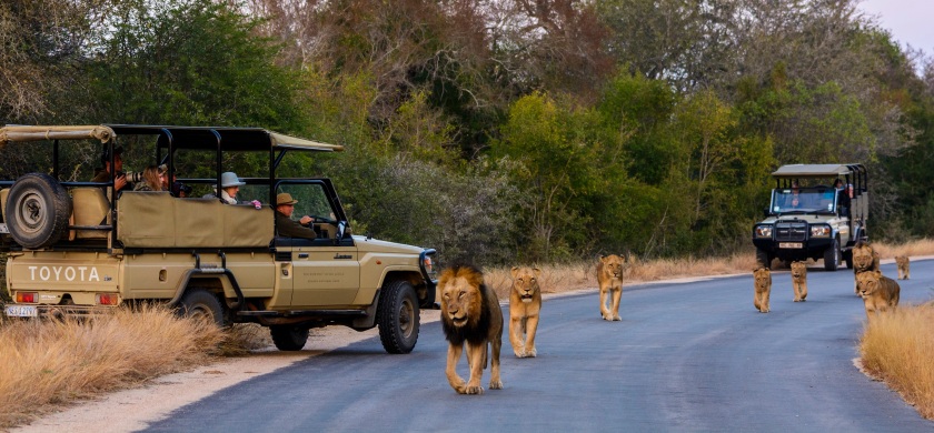 Kruger National Park Photograph